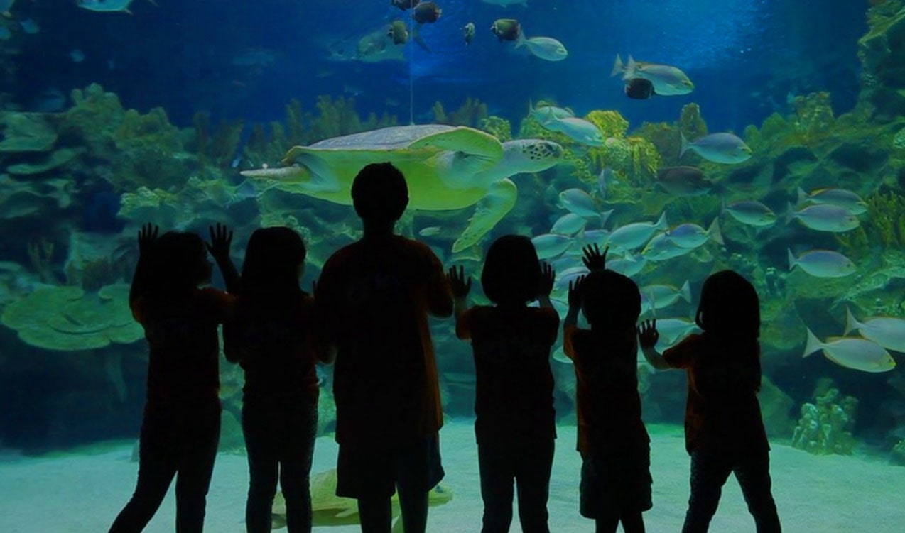 Malaysia Aquaria.jpg
